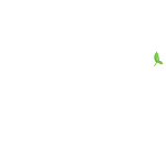 Ogul Cihan Chef